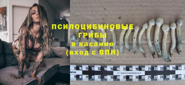 кокс Алексин